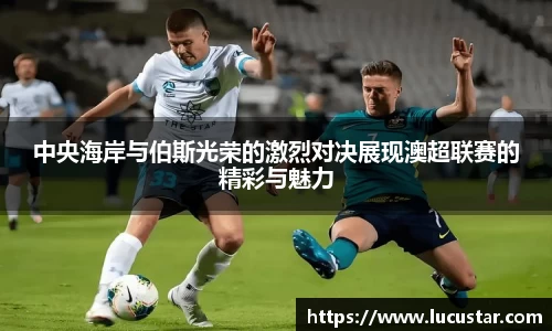 皇冠hg58体育官网