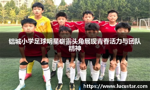 皇冠hg58体育官网