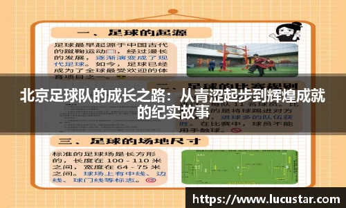 皇冠hg58体育官网