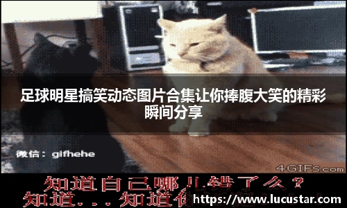 足球明星搞笑动态图片合集让你捧腹大笑的精彩瞬间分享